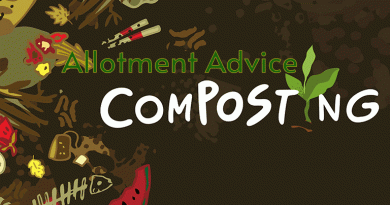 Allotment Advice – Composting and Making your own