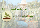 Allotment Advice – Crop Rotation