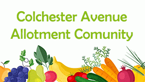 Colchester Avenue Allotment Association